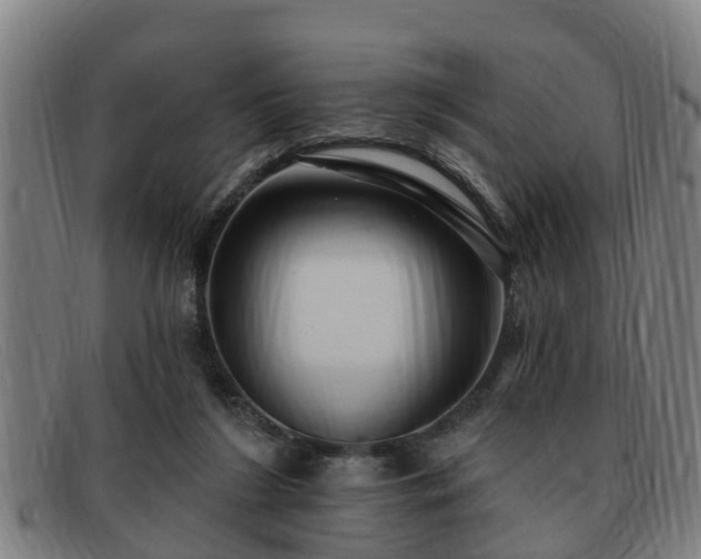 X0000091850212200709121317
