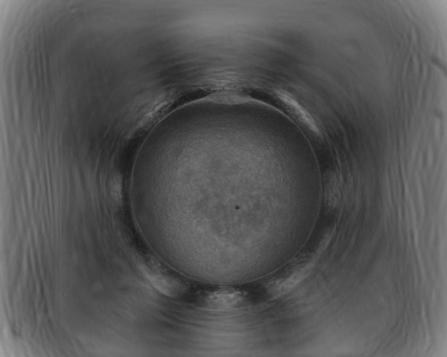X0000091850213200709121317