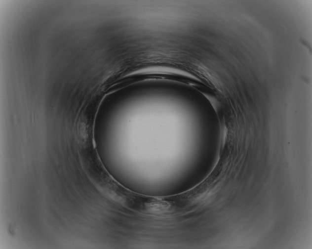 X0000091850215200709121317