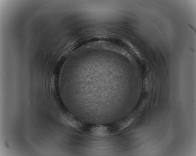 X0000091850217200709121317