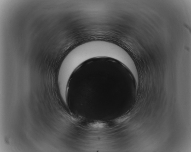 X0000091850219200709121317