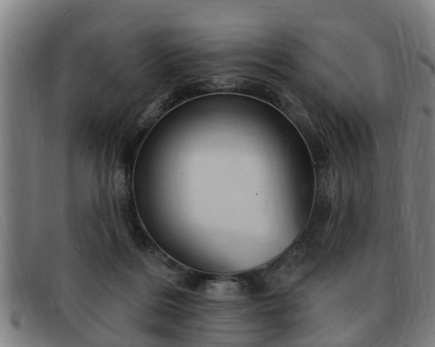 X0000091850220200709121317