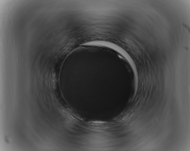 X0000091850223200709121317