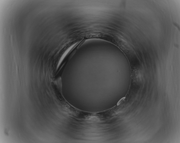 X0000091850224200709121317