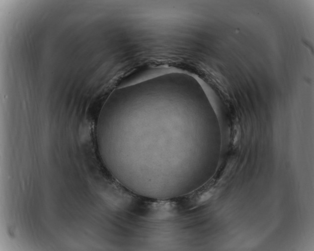 X0000091850225200709121317