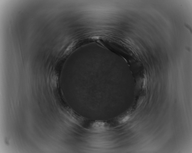 X0000091850227200709121317