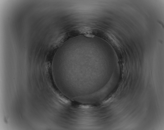 X0000091850229200709121317