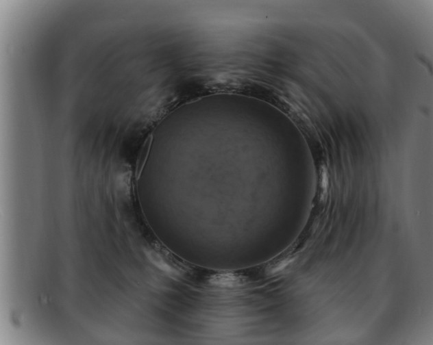 X0000091850231200709121317