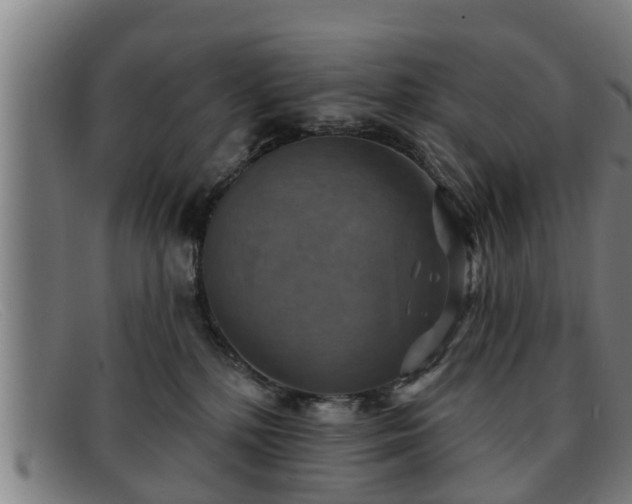 X0000091850232200709121317