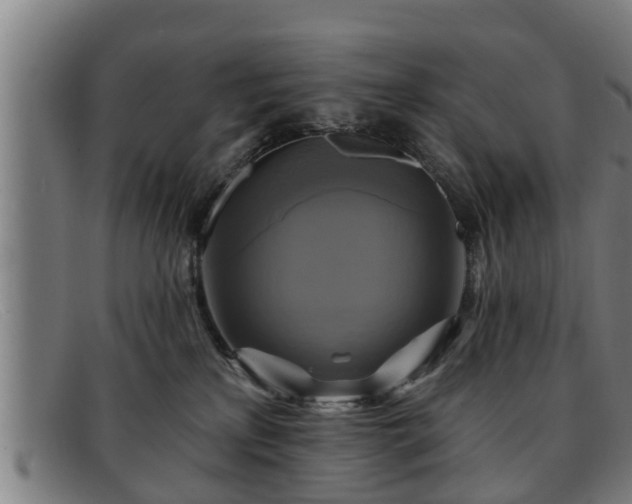 X0000091850233200709121317