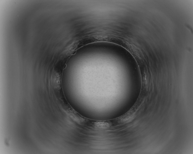 X0000091850234200709121317