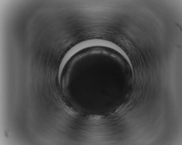 X0000091850235200709121316