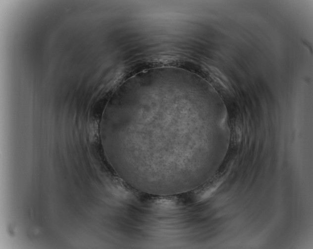 X0000091850236200709121316