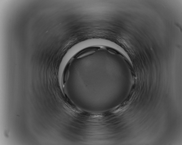 X0000091850237200709121316
