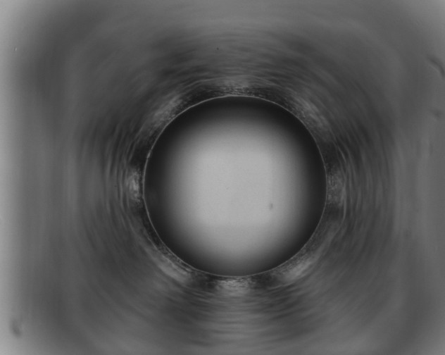 X0000091850238200709121316