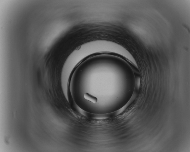 X0000091850239200709121316