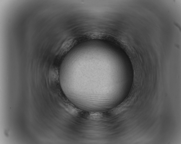 X0000091850240200709121316