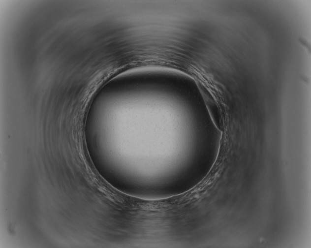 X0000091850241200709121316