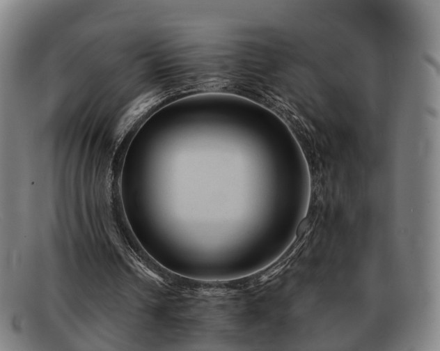 X0000091850242200709121316