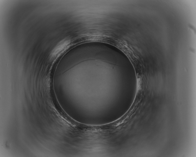 X0000091850243200709121316
