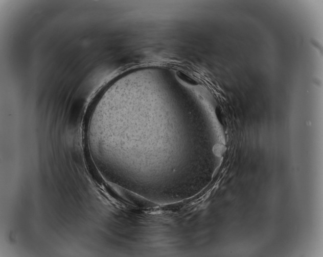 X0000091850244200709121316