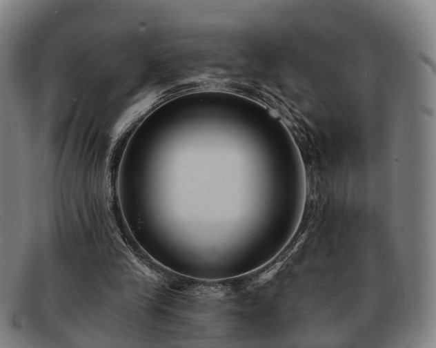 X0000091850245200709121316
