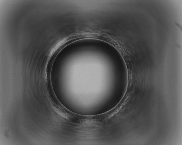 X0000091850246200709121316