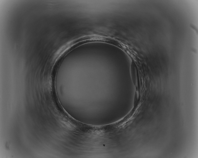 X0000091850247200709121316