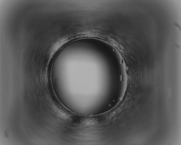 X0000091850248200709121316