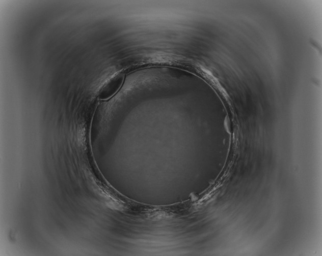 X0000091850249200709121316