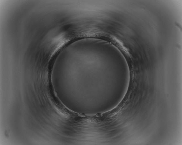 X0000091850250200709121316
