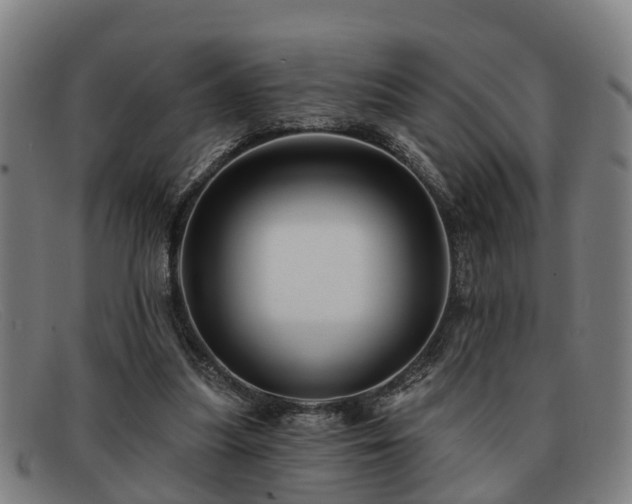 X0000091850251200709121316