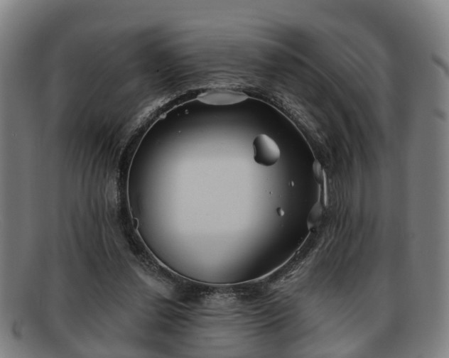 X0000091850252200709121316