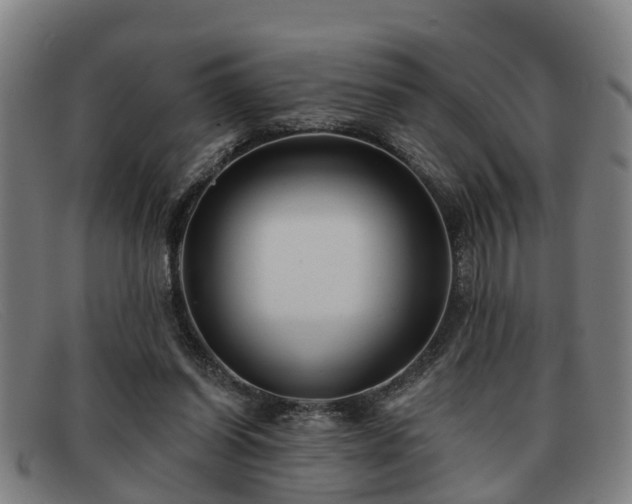 X0000091850254200709121316