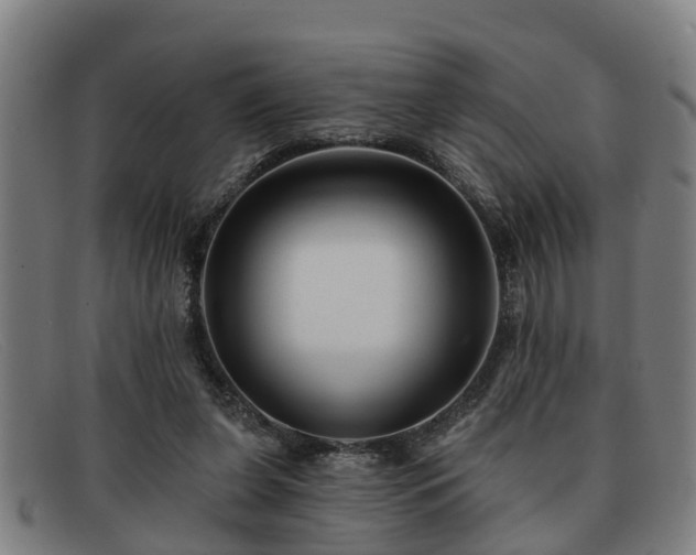 X0000091850255200709121316