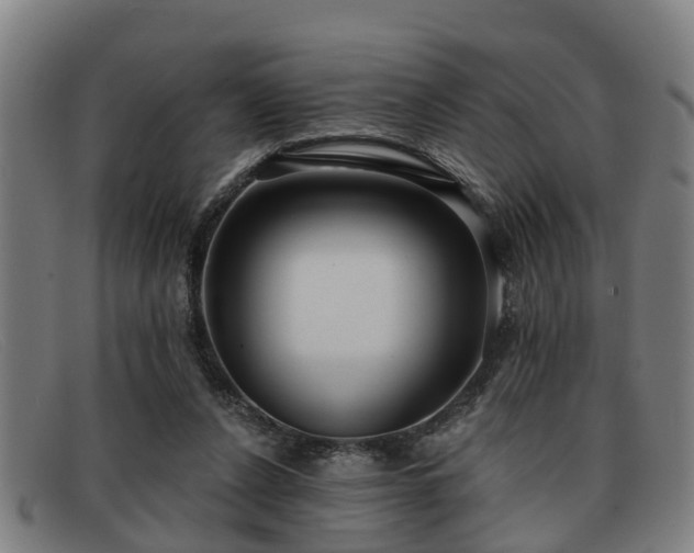 X0000091850256200709121316