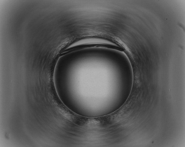X0000091850257200709121316