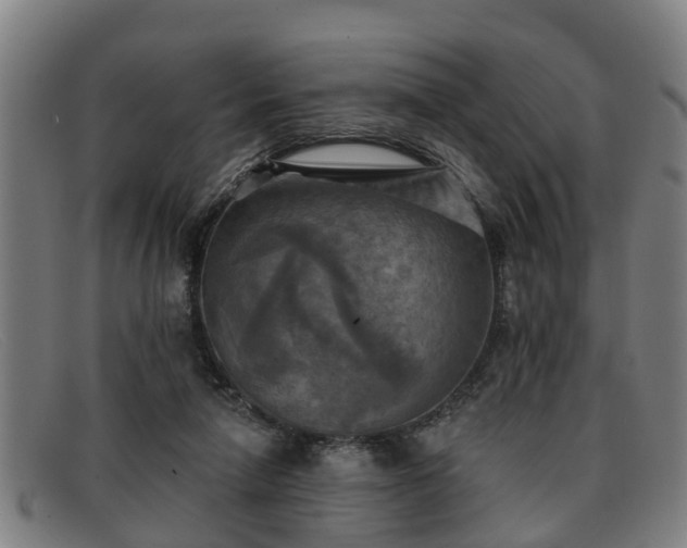 X0000091850258200709121316