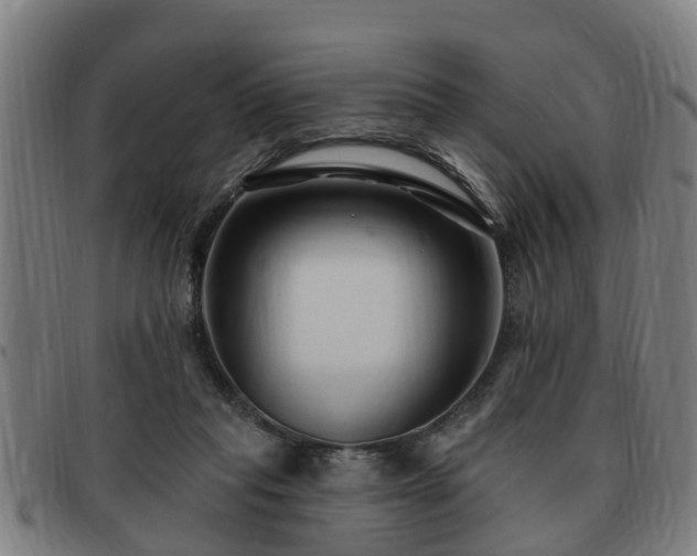 X0000091850261200709121316