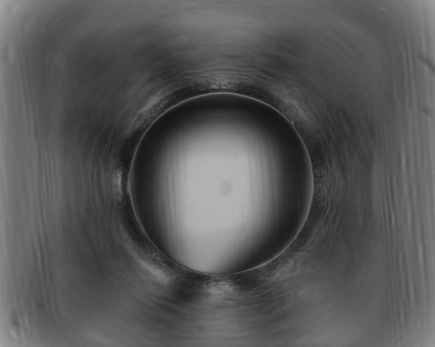 X0000091850262200709121316