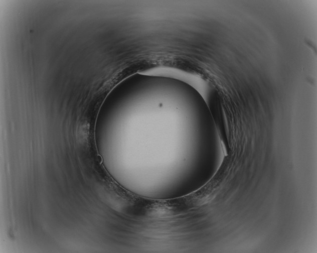 X0000091850263200709121316