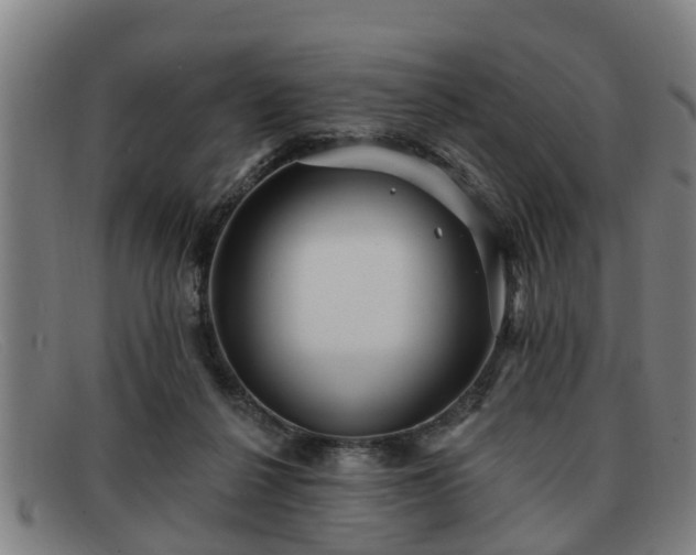X0000091850264200709121316