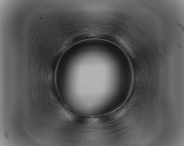 X0000091850265200709121316