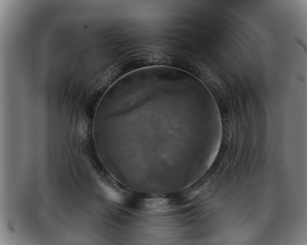 X0000091850266200709121316