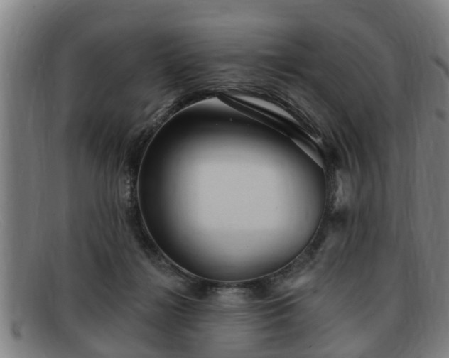 X0000091850268200709121316
