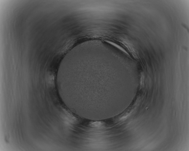 X0000091850269200709121316