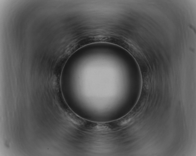 X0000091850270200709121316