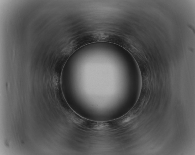 X0000091850274200709121316