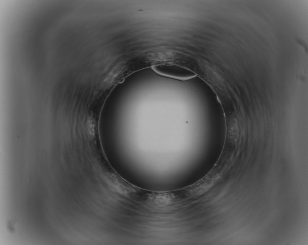 X0000091850282200709121316