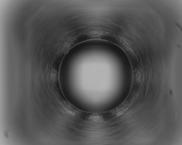 X0000091850283200709121316